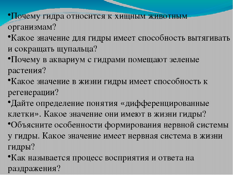 Как сделать заказ на кракен