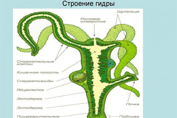 Сайт кракен онион